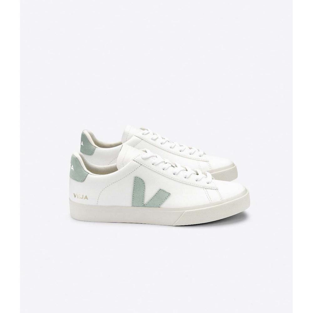 White/Green Men\'s Veja CAMPO CHROMEFREE Low Tops Sneakers | AU 196NWY